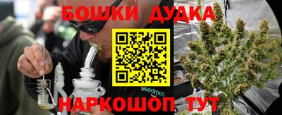 ПСИЛОЦИБИНОВЫЕ ГРИБЫ Новозыбков
